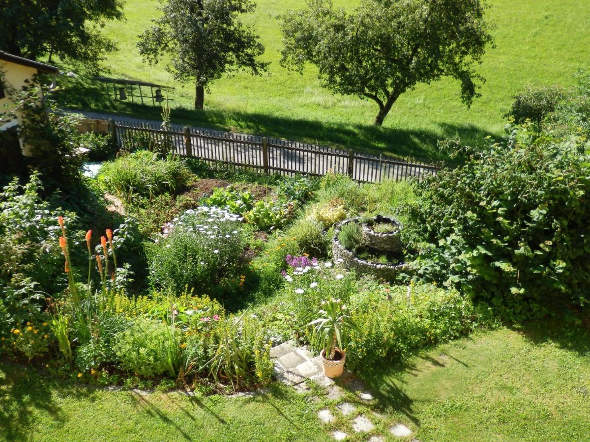 Naturoase Muehlviertel Sankt Johann am Wimberg Exteriör bild