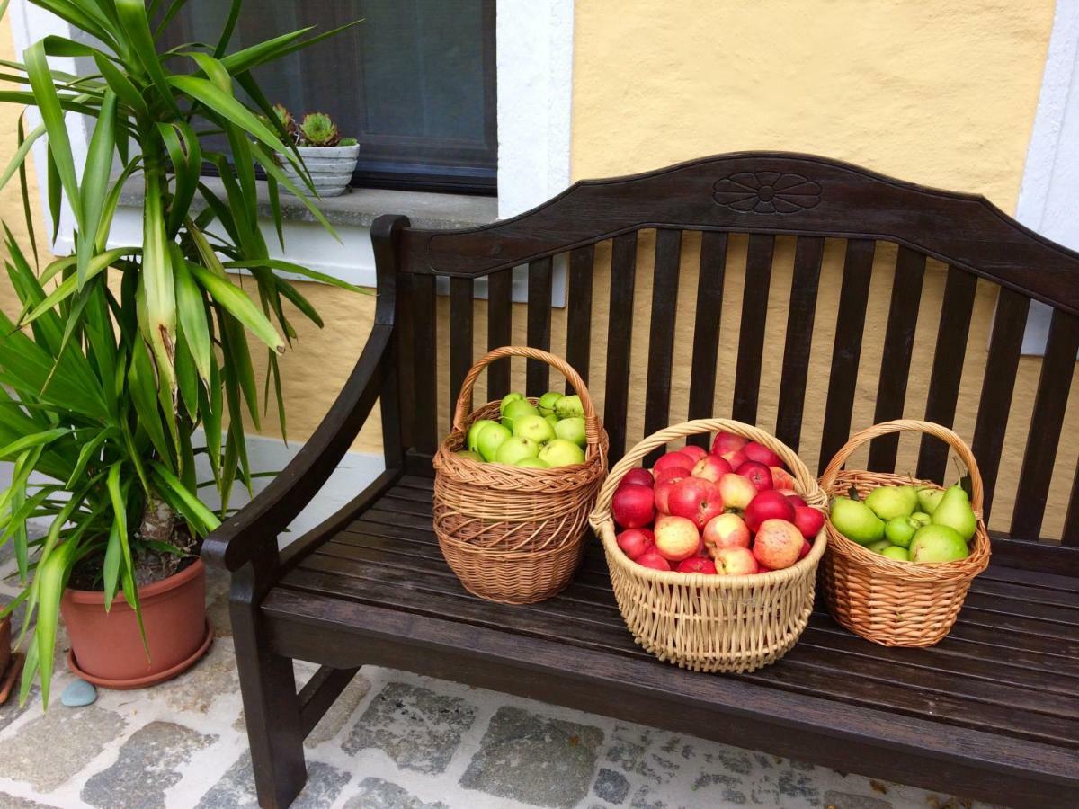 Naturoase Muehlviertel Sankt Johann am Wimberg Exteriör bild